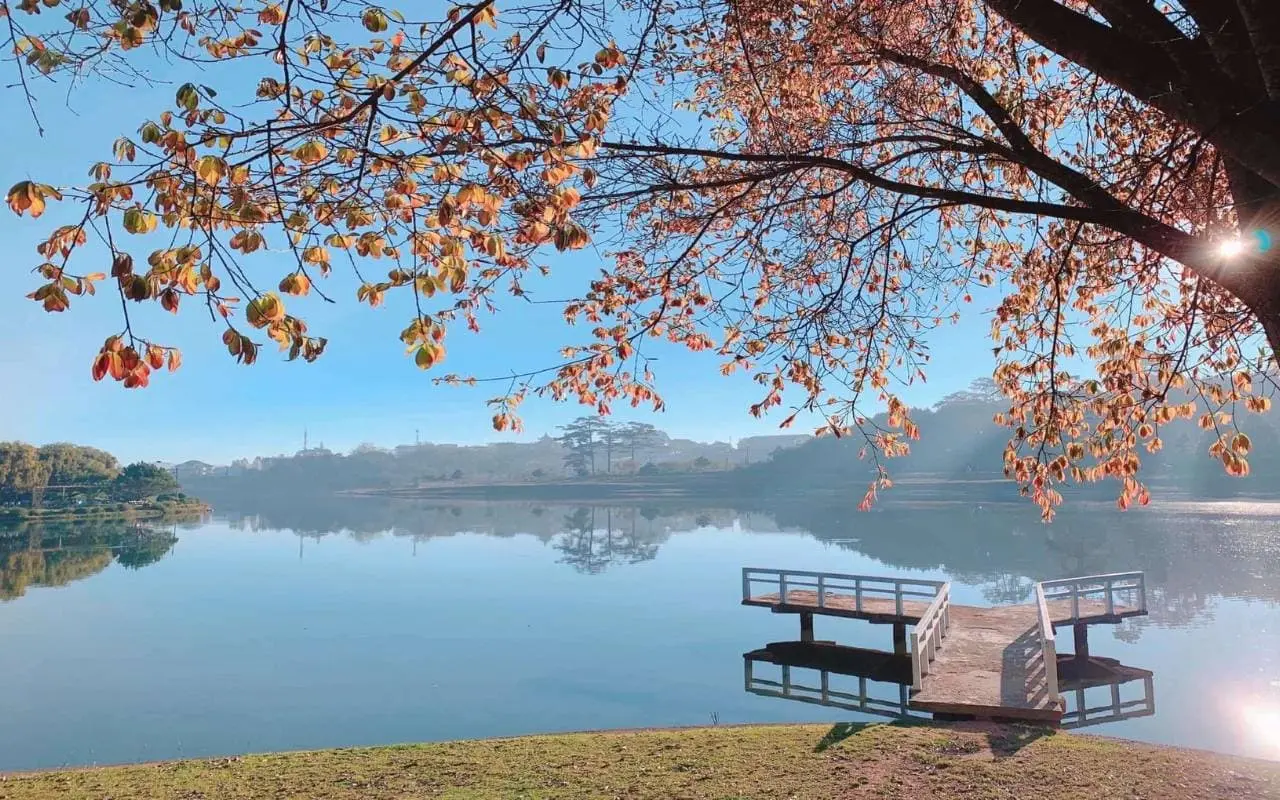 Serene view of Xuan Huong Lake with swan boats, a key attraction in Da Lat Vietnam.