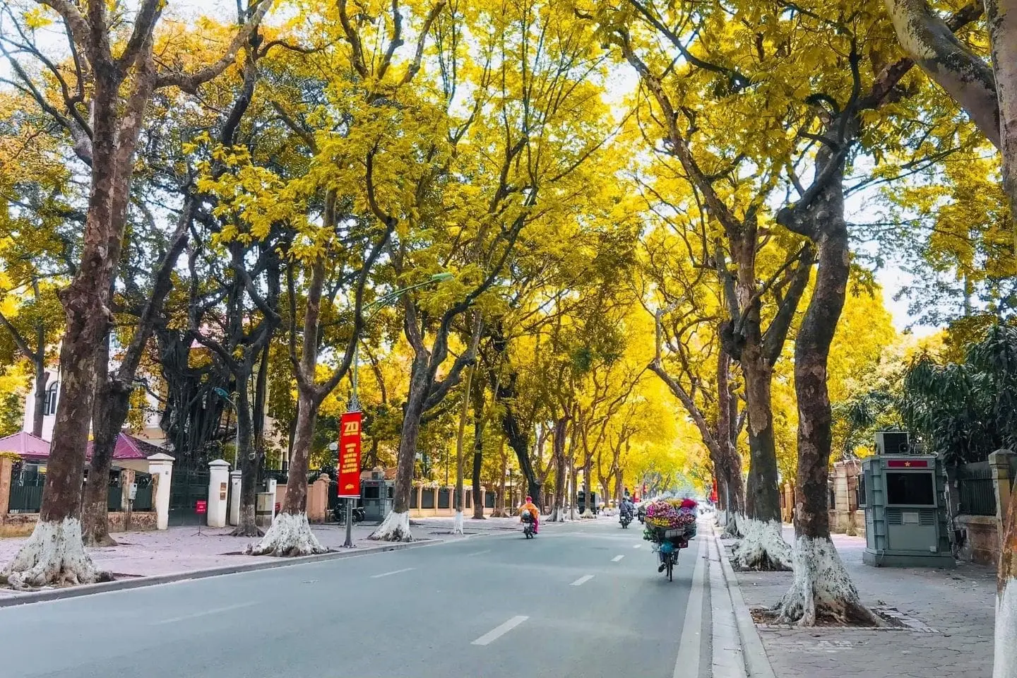 Street scene in Hanoi featuring characteristic yellow French colonial architecture, illustrating the distinct historical and political atmosphere of Vietnam's capital city