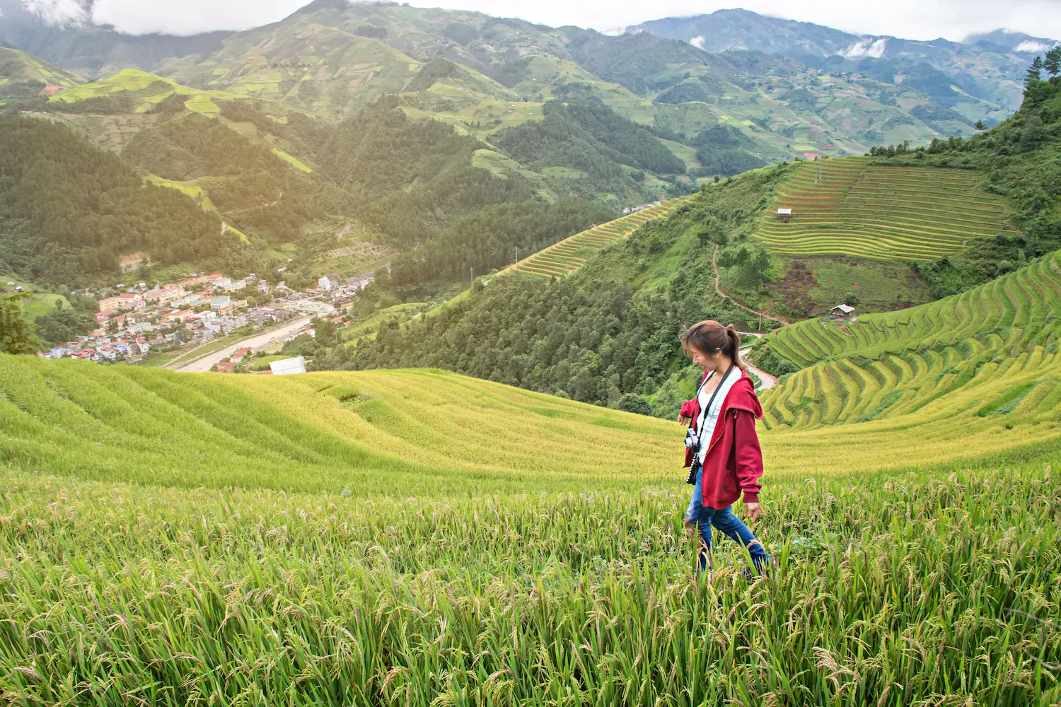Trekker walking on a path through lush green terraced rice fields in Muong Hoa Valley, Sapa, Vietnam.